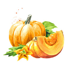 Fresh ripe yellow pumpkin or squash, with leaves and flower. Watercolor hand drawn illustration isolated  on white background - 777991941