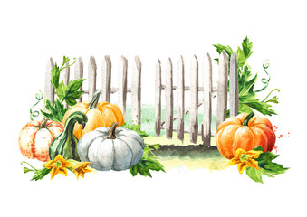 Happy Thanksgiving card with pumpkins harvest. Hand drawn watercolor illustration, isolated on white background  - 777991954