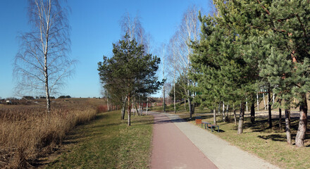 Bicycle and walking paths in a lakeside park