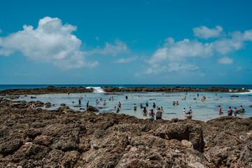 Shark’s Cove North Shore Oahu Hawaii.   reef deposits.  Snorkeling ( snorkelling ). A reef is a ridge or shoal of rock, coral or similar relatively stable material, 