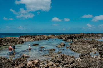 Shark’s Cove North Shore Oahu Hawaii.   reef deposits.  Snorkeling ( snorkelling ). A reef is a ridge or shoal of rock, coral or similar relatively stable material, 