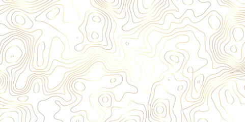 Topography of white background and golden lines contour abstract vector background texture print design