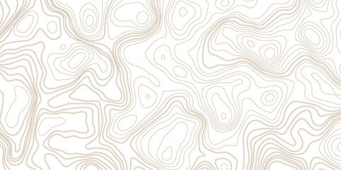 Seamless pattern with lines White wave paper curved reliefs abstract background. topographic line contour map background, geographic grid map, stock vector illustration - obrazy, fototapety, plakaty