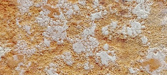 texture of carpet