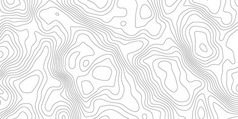 Fototapeta na wymiar White topology fresh clean vector contour map background