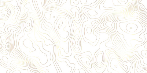 White background topography golden lines gradient abstract vector background