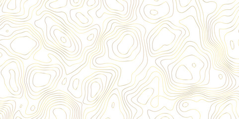 Fototapeta na wymiar White background golden lines topography simple topology design