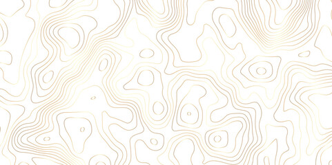 White background golden lines topography simple topology design - obrazy, fototapety, plakaty