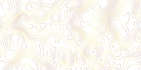 White background golden lines topography simple topology design