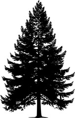Cedar Tree Silhouette Illustration