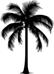 Palm Tree Silhouette Illustration