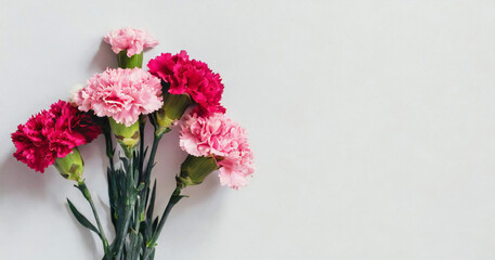 Fototapeta premium bouquet of carnation flower isolated on white background Top view Happy Valentine's day, Mother's, Memorial, Teacher's day concept Copy space 