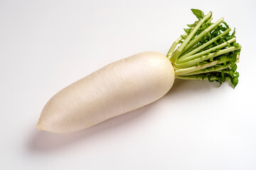 加賀野菜の一つ・源助大根