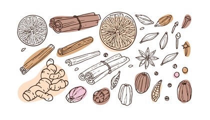 Spice set. Doodle Outline vector illustration on white background. Food and drink recipe ingredients. Organic product sketch for cooking and spice stores sign. Flavor cooking ingredient.