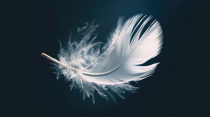 white feather on black background, white feather of a goose on a black background,White feather isolated on a black background. Close-up. Copy space. - obrazy, fototapety, plakaty