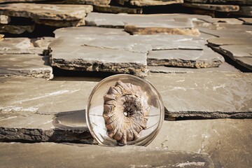 Fossil durch eine Glaskugel in einem Schiefer Abbaugebiet