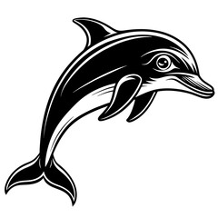 dolphin illustration