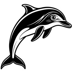 dolphin illustration