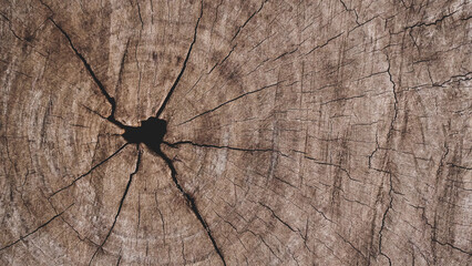Dark brown old hard wood with cracks, natural cross-section of a tree for abstract  Horizontal seamless wooden background and texture.Backdrop,  patterns, space for work, vintage wallpaper.Close up.