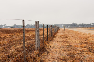 fence in the field in dry summer landscape on foggy morning