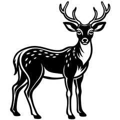 deer illustration