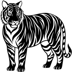 zebra illustration