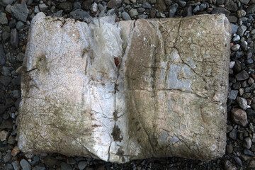 Shore of Loch Awe - Portsonachan - Dalmally - Argyll - Scotland - UK