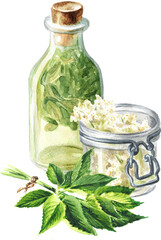 Herbal homemade organic tincture from fresh medicinal herbs. Hand drawn watercolor illustration isolated on white background