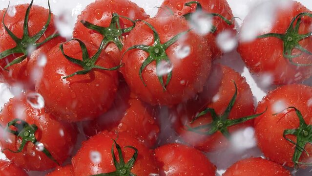 シャワーでトマトを洗う4Kスローモーション動画