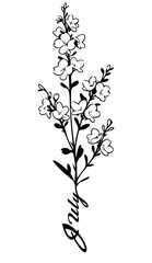 Fototapeta premium Larkspur, July Birth Flower. Hand drawn birth flowers, Vector Graphics. Floral Decorative Design Element. Birth Month, Mother’s Day, Birth Announcement, Baby Gift, T-shirt design, Print. 