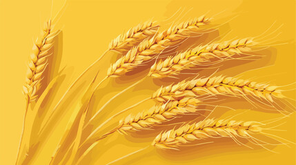 Detailed wheat ears oats or barley isolated on a yellow
