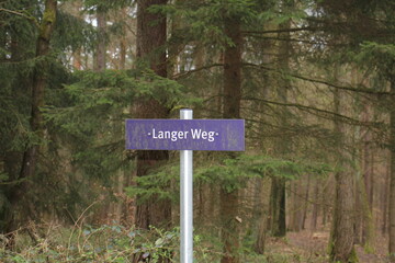 Waldweg in Freudenberg