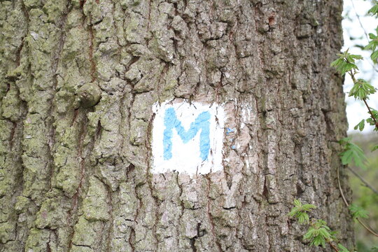 Zeichen des Mainwanderweges