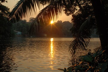 beauty nature evening sunset professional photography