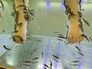  child's feet stand in an aquarium with fish