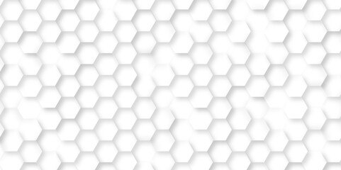seamless pattern with hexagons. abstract hexagon shapes. white hexagon geometric texture.