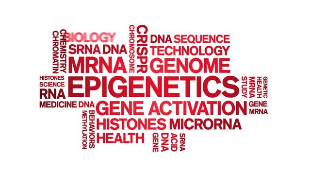 Epigenetics animated word cloud;text design animation tag kinetic typography seamless loop.