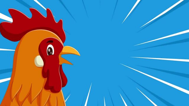 the rooster crowed cartoon animal video character animation in highlight