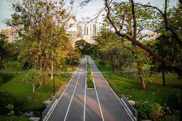 Sunset in the afternoon at Benchakitti Park. Golden hour view in the park with pathway and nature all around