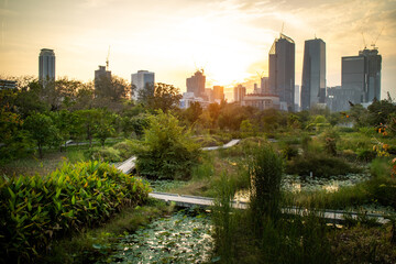 Sunset in the afternoon at Benchakitti Park. Golden hour view in the park with pathway and nature all around