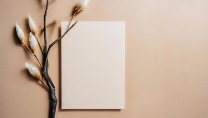 Blank paper card mockup with cotton twigs on beige background