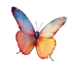 Fototapeta premium Butterfly soaring gracefully through the air