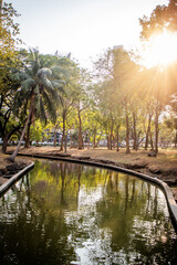 Obraz premium Lumpini park. park and canel view in the afternoon Golden hour. Bangkok, Thailand