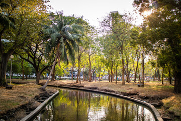 Lumpini park. park and canel view in the afternoon Golden hour. Bangkok, Thailand