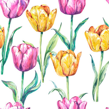 Watercolor seamless pattern with yellow and pink tulips. Floral spring pattern. Italian pattern