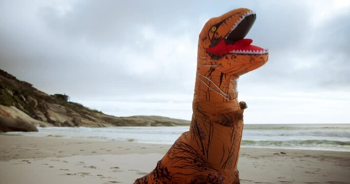 Boxing, comic and dinosaur costume on beach with martial arts or fighting training for sports. Travel, clouds and inflatable animal t rex mascot outfit for boxer with fitness by ocean or sea.