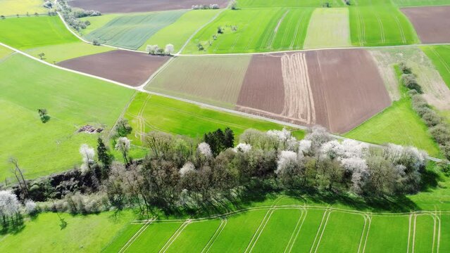 Drohne fliegt über strukturierte Agrarlandschaft mit Feldern, Wiesen und blühenden Bäumen im Frühling, Luftaufnahme