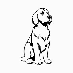 Irish Setter Dog breed vector image Isolated black silhouette on white background Cute line art illustration 
