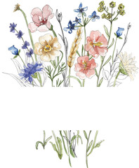 Watercolor wildflowers wreath illustration, meadow flowers frame clipart - 778072122
