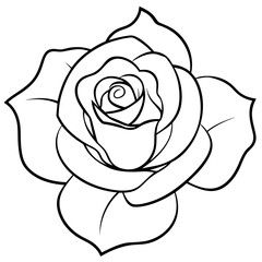  Flower vector illustration.

